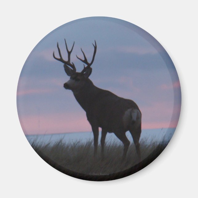 D3 Mule Deer Sunrise Buck Magnet (Front)