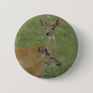 D6 White-tailed Deer Spring Bucks 6 Cm Round Badge