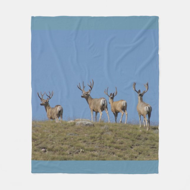 D9 Mule Deer Bucks in Velvet Sky Lined Fleece Blanket (Front)