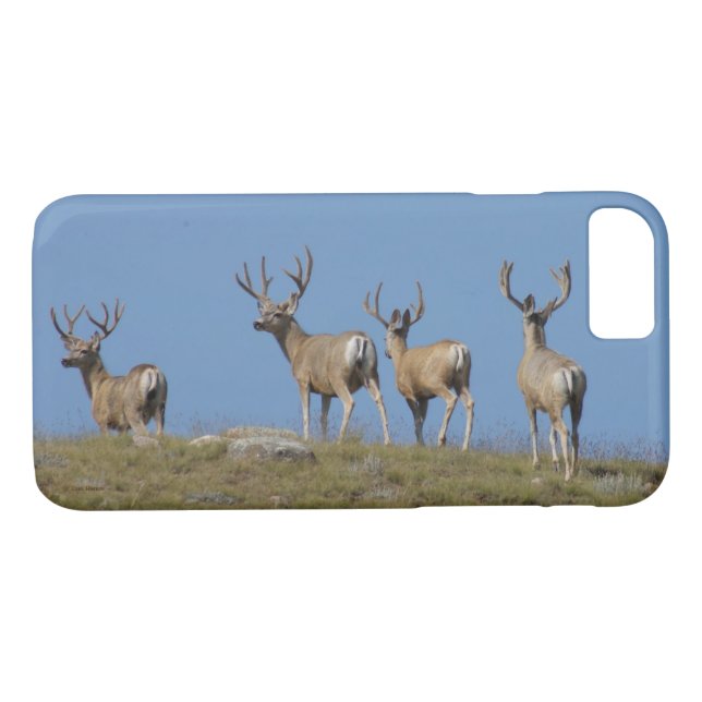 D9 Mule Deer in Velvet Case-Mate iPhone Case (Back (Horizontal))