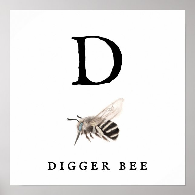 "D" Digger Bee Value Poster Paper (Matte) (Front)