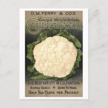 D. M. Ferry & Co. Cauliflower Seed Advertisement