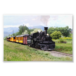 D&SNGR Engineer Checks Track Photo Print