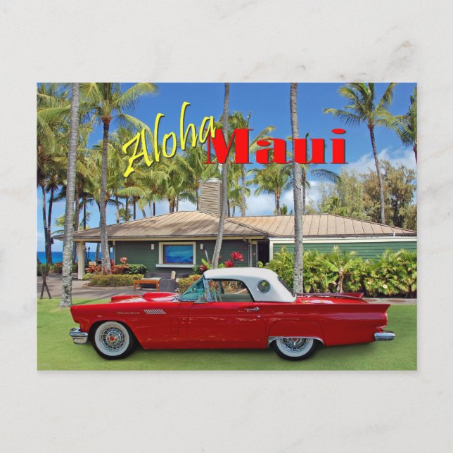 D.T.Fleming Beach Park Postcard (Front)