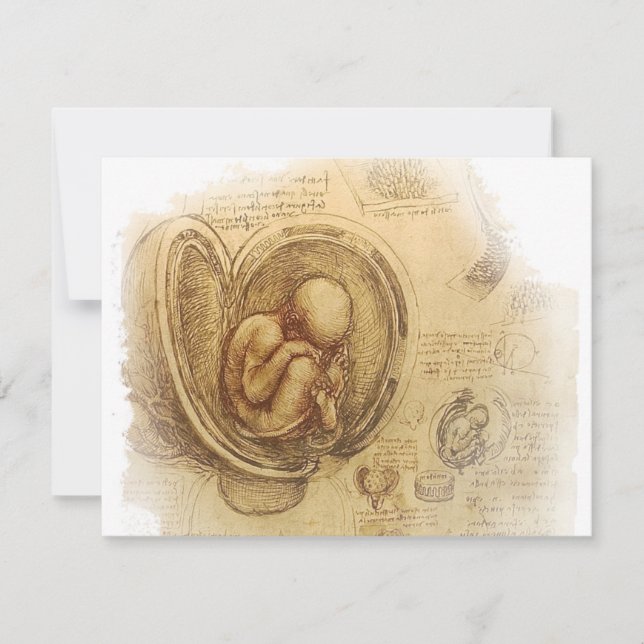 da Vinci - Embryo Sketch (Front)
