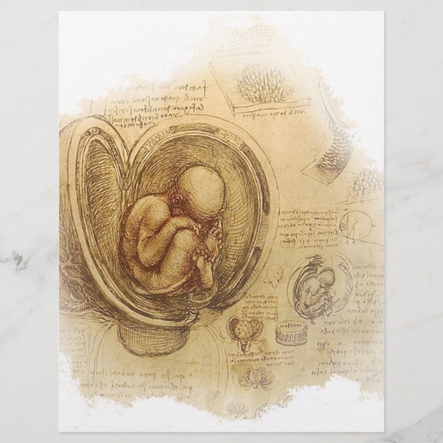 da Vinci - Embryo Sketch (Front)