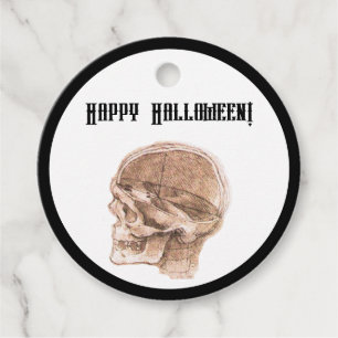 Da Vinci Halloween Science Anatomy Skull Print Favour Tags