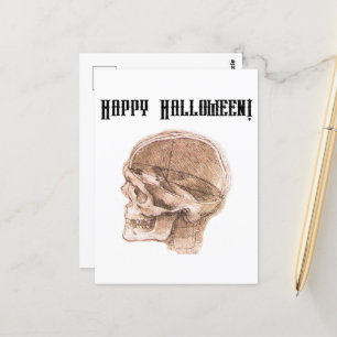 Da Vinci Halloween Science Anatomy Skull Print Postcard