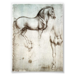 Da Vinci Horse Photo Print