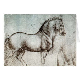 Da Vinci Horse Study Renaissance Sketch Fine Art