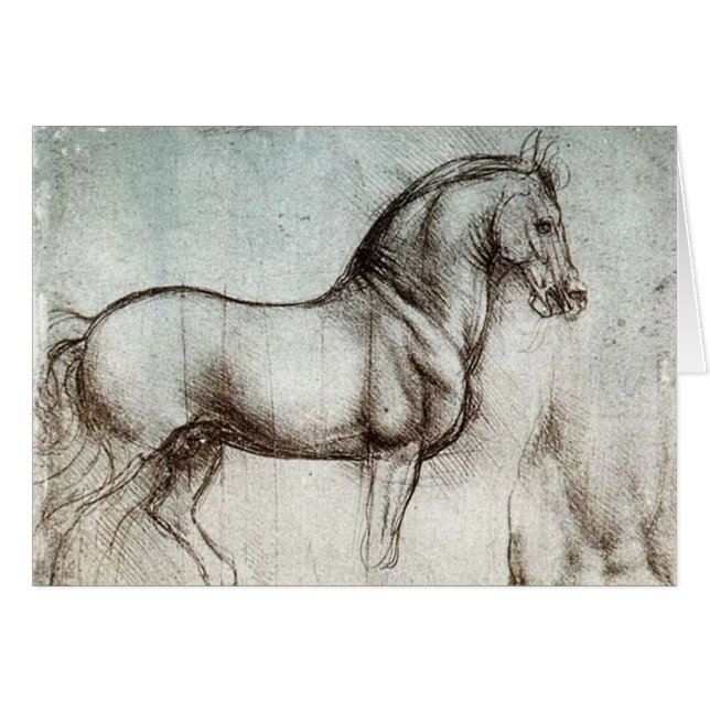 Da Vinci Horse Study Renaissance Sketch Fine Art (Front Horizontal)
