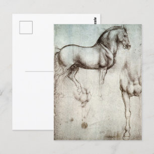 Da Vinci Horse Study Renaissance Sketch Fine Art Postcard
