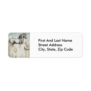 Da Vinci Study of a Horse Renaissance Fine Art Return Address Label