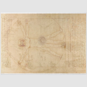 Da Vinci Vitruvian Man Decoupage Paper