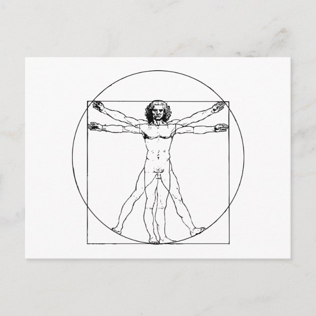 Da Vinci Vitruvian Man Postcard (Front)