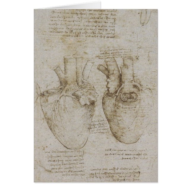 Da Vinci's Human Heart Anatomy Sketches (Front)