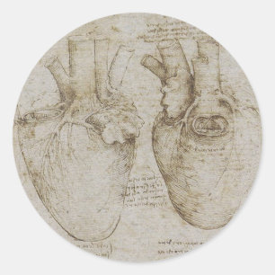 Da Vinci's Human Heart Anatomy Sketches Classic Round Sticker