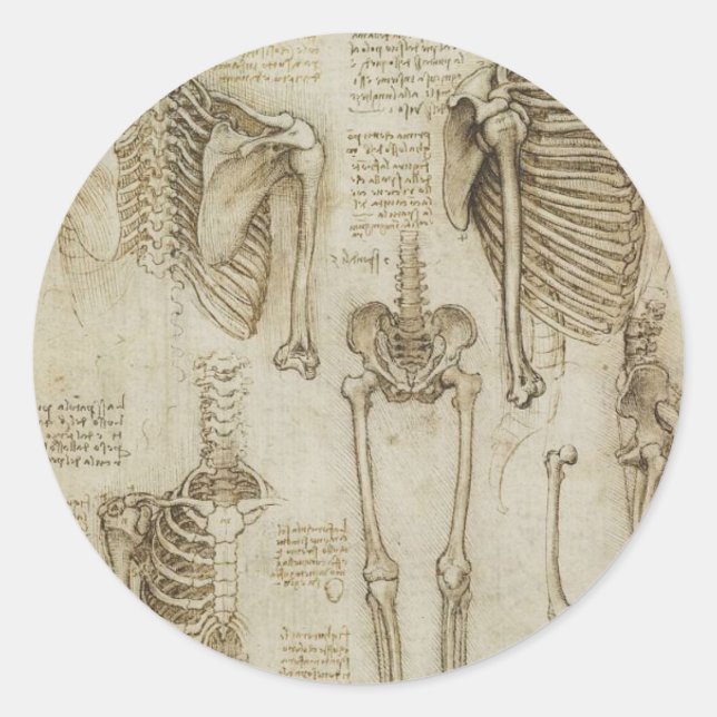 Da Vinci's Human Skeleton Anatomy Sketches Classic Round Sticker (Front)
