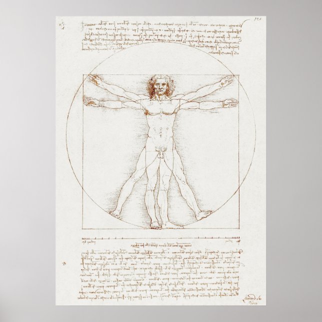 Da Vinci's Vitruvian Man Poster (Front)
