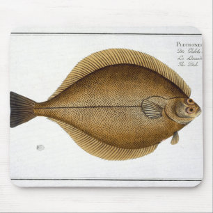 Dab (Pleuronectes Limanda) plate XLVI from 'Ichthy Mouse Pad