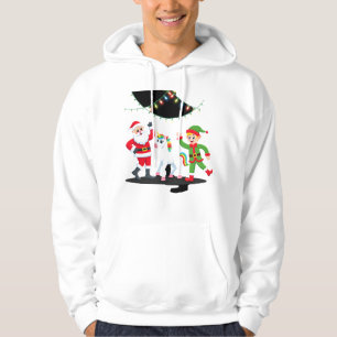 Dabbing Santa Elf Unicorn Christmas Kids Boys Men Hoodie