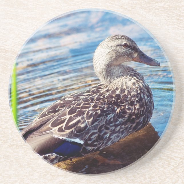 Dabbling Ripples Coaster (Front)