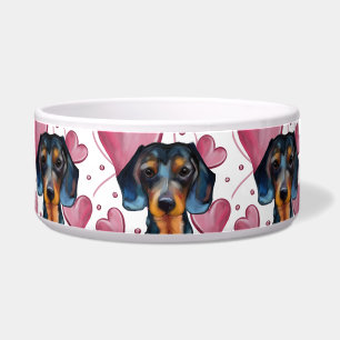  Dachshund  