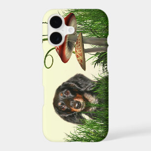 Dachshund
