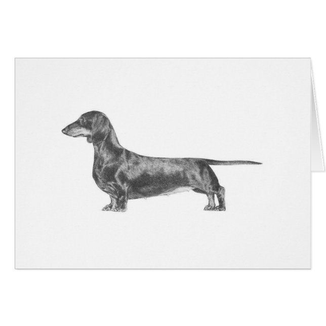 Dachshund (Front Horizontal)