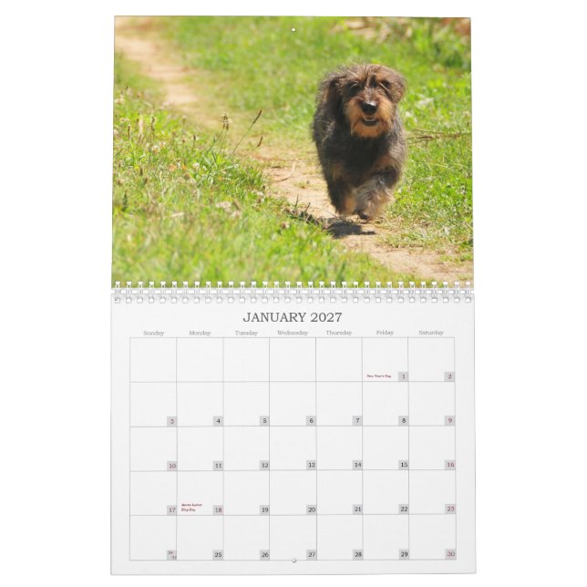 Dachshund 2009 - customisable calendar! calendar (Jan 2027)