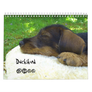 Dachshund 2011 - customisable calendar! calendar