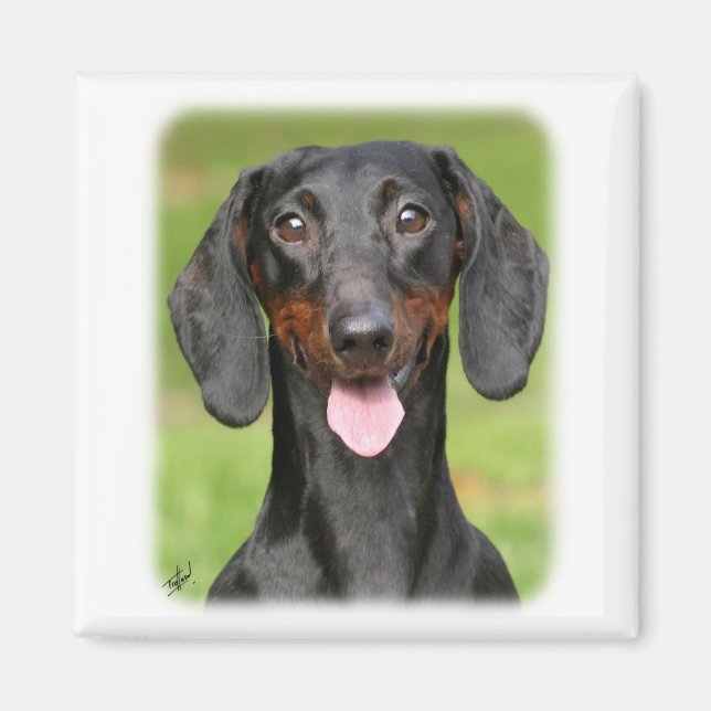 Dachshund 9Y420D-165 Magnet (Front)