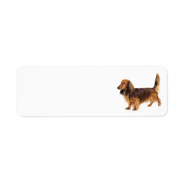 Dachshund Address Label Return Address Label (Front)