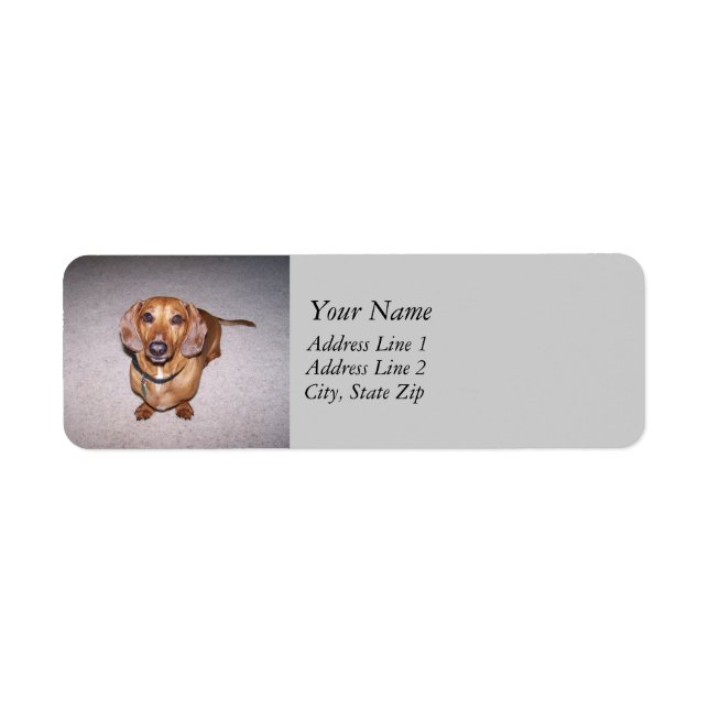 Dachshund Address Labels (Front)