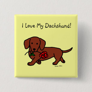 Dachshund and a flower cartoon 15 cm square badge