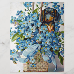 Dachshund and Forget-Me-Nots
