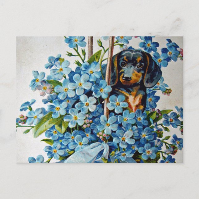 Dachshund and Forget-Me-Nots Postcard (Front)