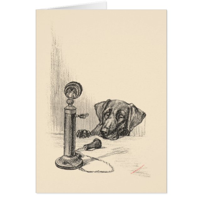 Dachshund and Vintage Phone (Front)