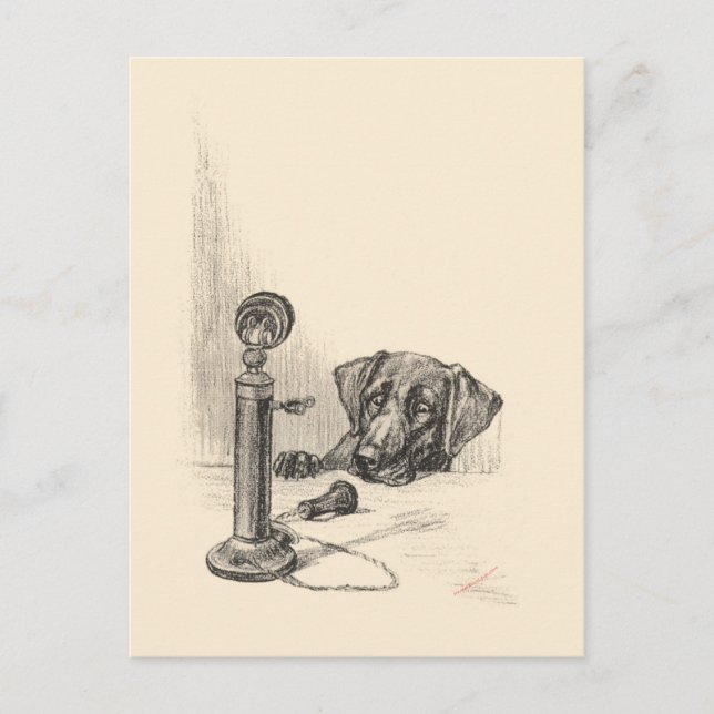 Dachshund and Vintage Phone Postcard (Front)