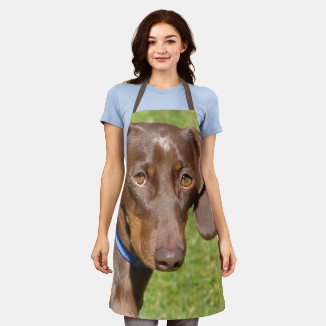 Dachshund Apron (Worn)