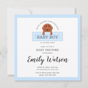 Dachshund Baby Shower Invitation Postcard
