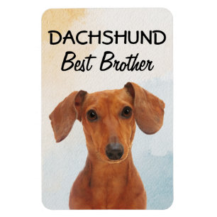 Dachshund Best Brother Magnet