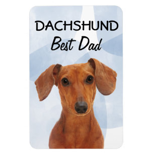 Dachshund Best Dad Magnet