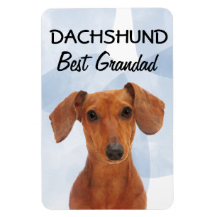 Dachshund Best Grandad Magnet