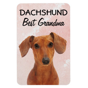 Dachshund Best Grandma Magnet