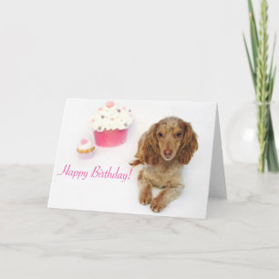 Dachshund Birthday Card