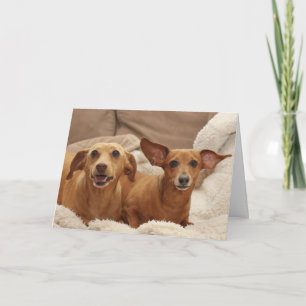 Dachshund Birthday Card by Focus for a Cause