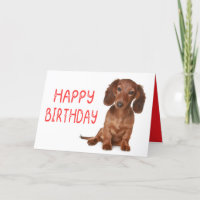 Dachshund Birthday Funny Wiener Dog Dashie Bday
