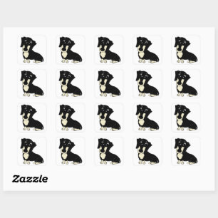 dachshund black and cream cartoon square sticker