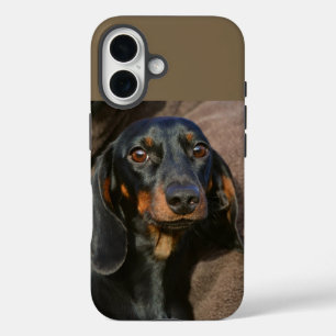 dachshund black and tan iPhone 16 case